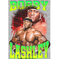 idol singer-GS  2397